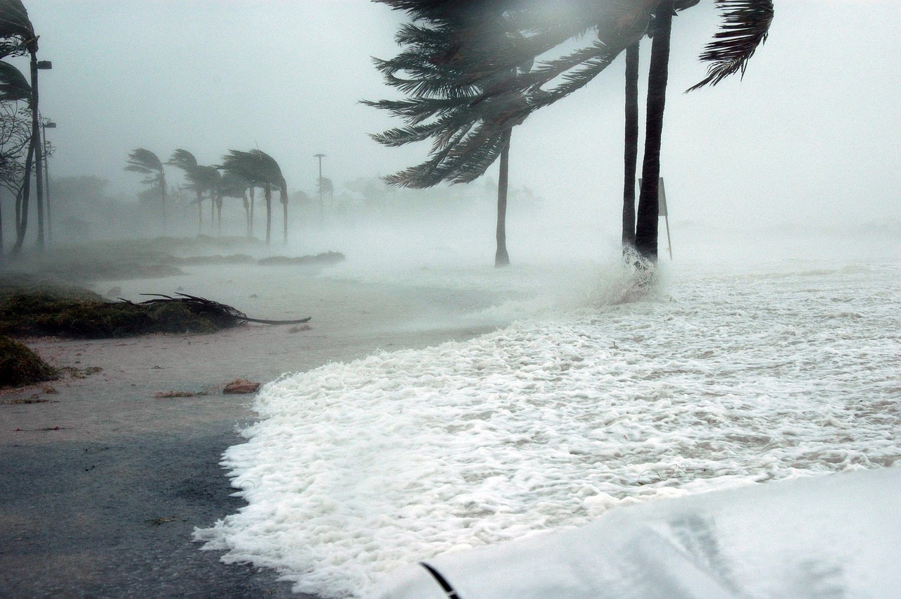 key west, florida, hurricane, dennis, nature, storm, surge, water, raining, wind, blowing, dangerous, sea, ocean, palm trees, beach, weather, hurricane, hurricane, hurricane, hurricane, hurricane